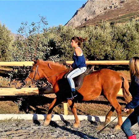 And On A Private Farm, Only 1 Km Away From The Beach! Villa *